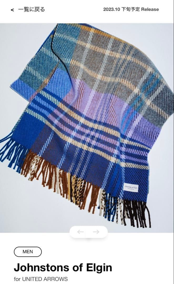 Johnstons of Elgin for UNITED ARROWS Check Cashmere Blend Scarf