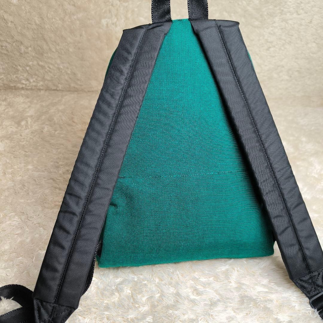 The North Face Purple Label Backpack Medium Day Pack Green New with tags