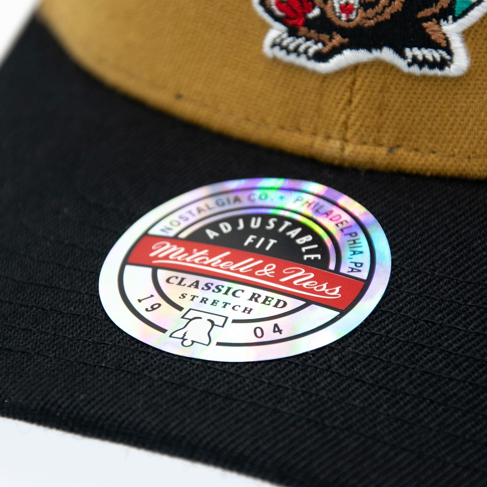 Mitchell & Ness NBA TEAM ARCH SNAPBACK VANCOVER GRIZZLIES New
