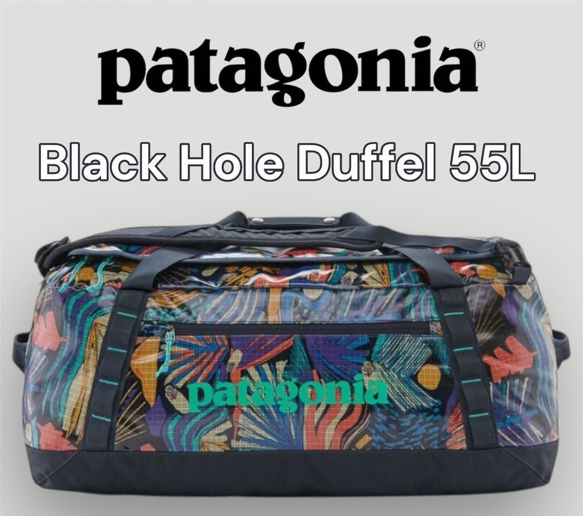 Patagonia Black Hole Duffel bag 55L JOYP Used Japan