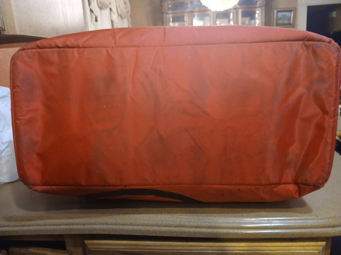 Detroit Piston Sneaker Duffle Bag
