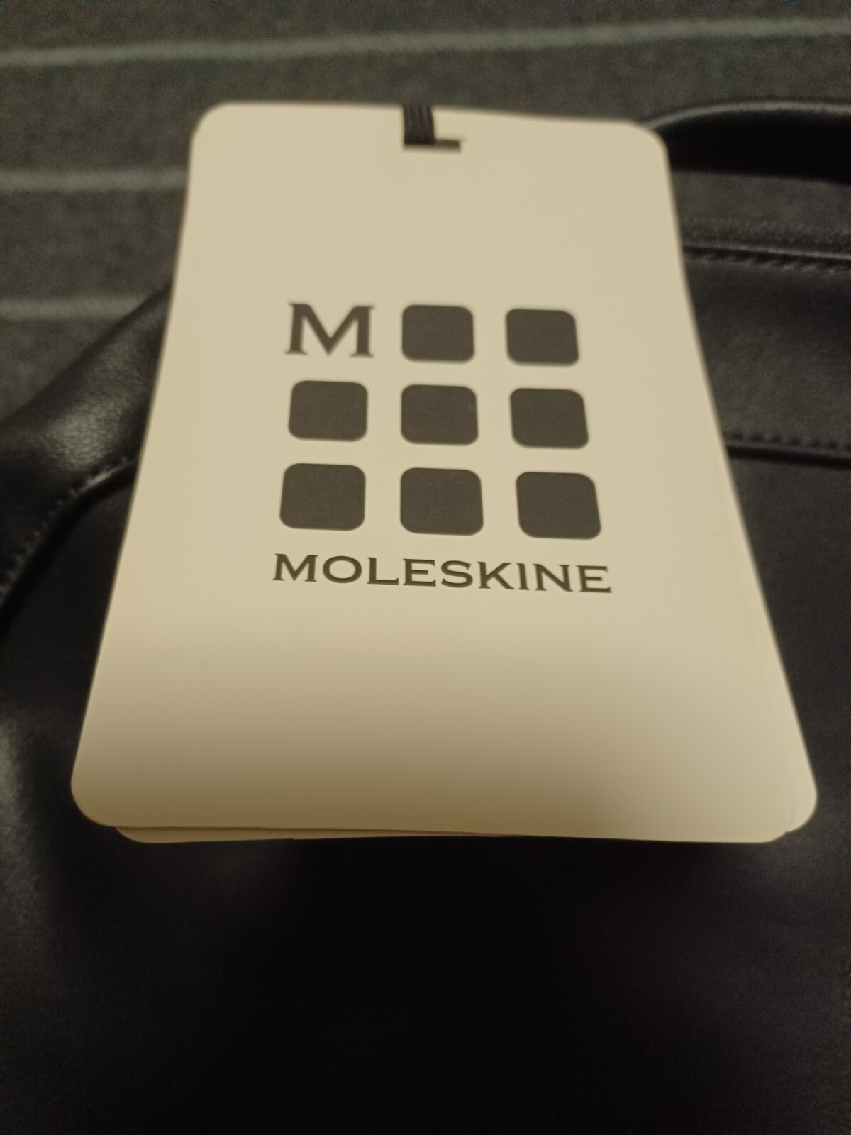 MOLESKINE black leather backpack “TED” talk RARE and not sold to the public NWT