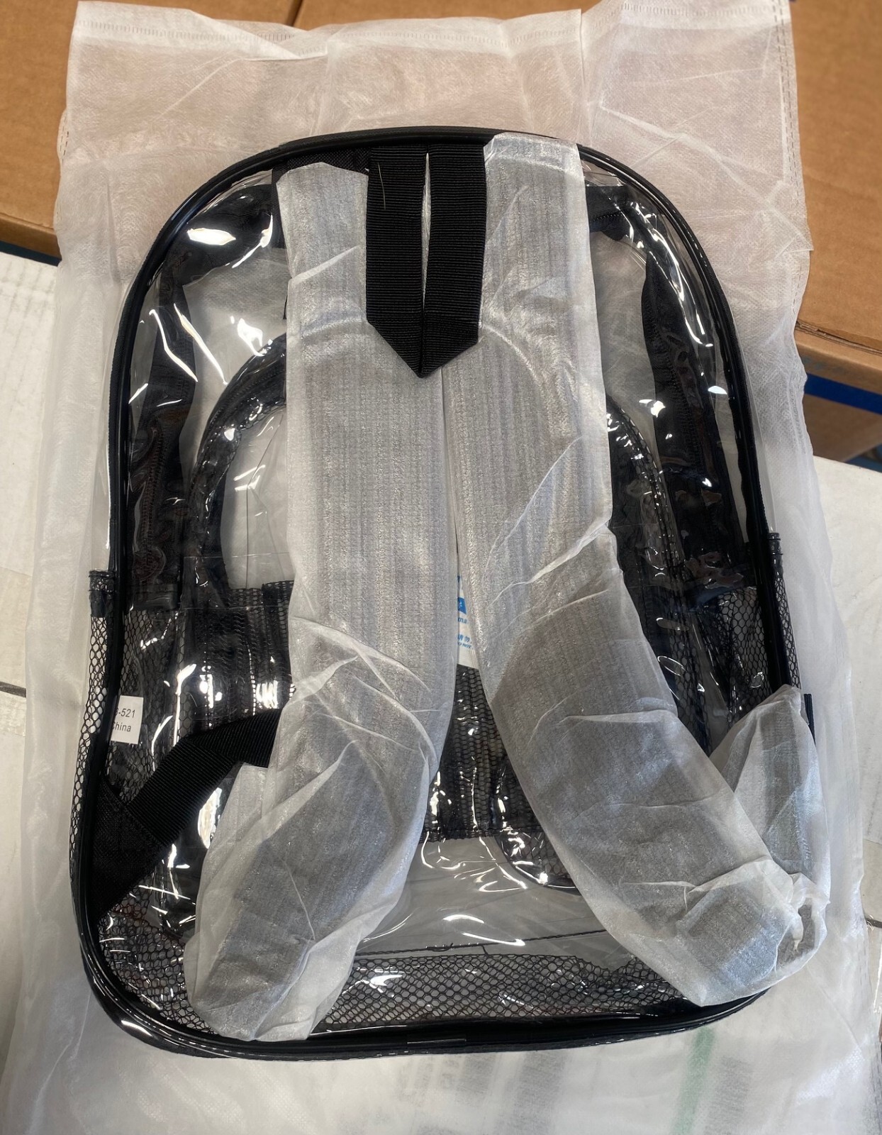 Standard Transparent / Clear Backpack in Black trim & strap