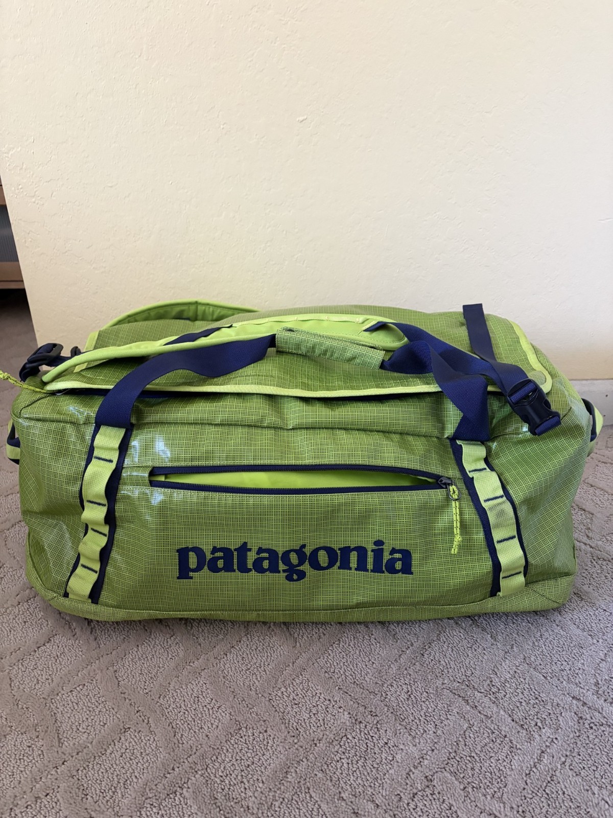 Patagonia Black Hole 55L Duffel Bag – Peppergrass Green