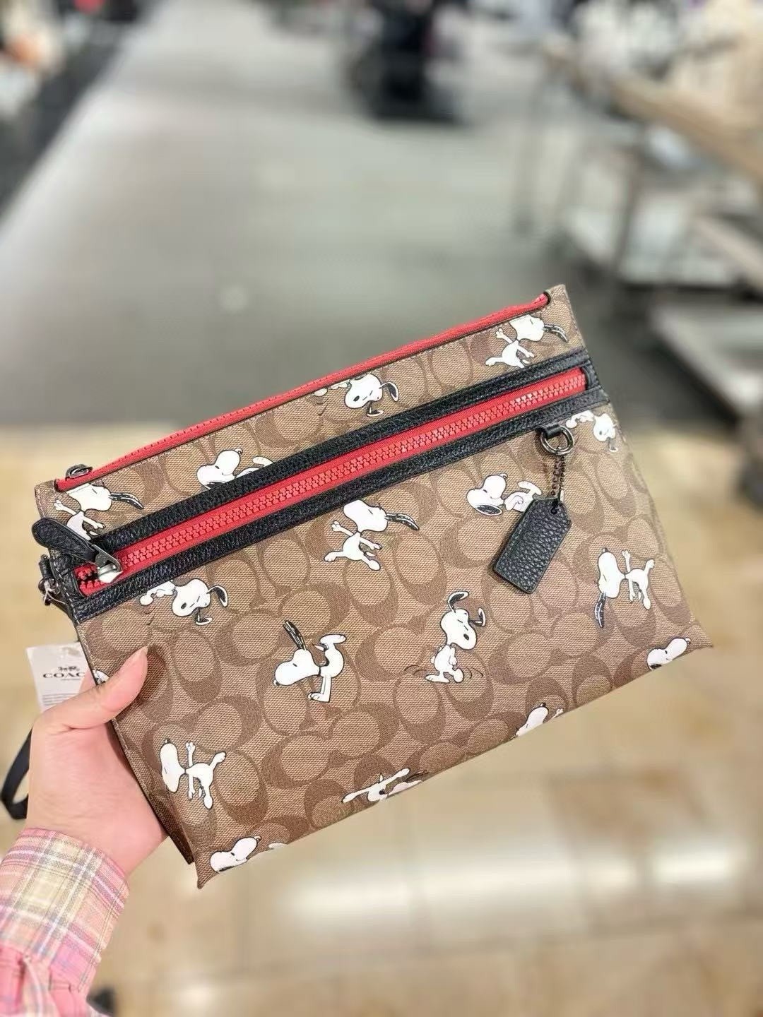 Coach 5734 Peanuts Snoopy Carryall Pouch Wristlet Bag GENTLY USED MINT COND