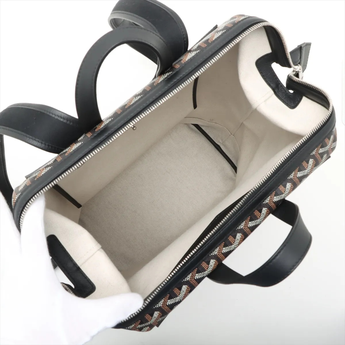 Goyard Sisalpan PVCx leather Backpack Black