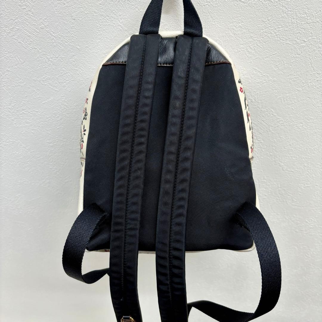 Import duty included for US buyers Coach Mini Backpack Charlie Paisley Red Acce