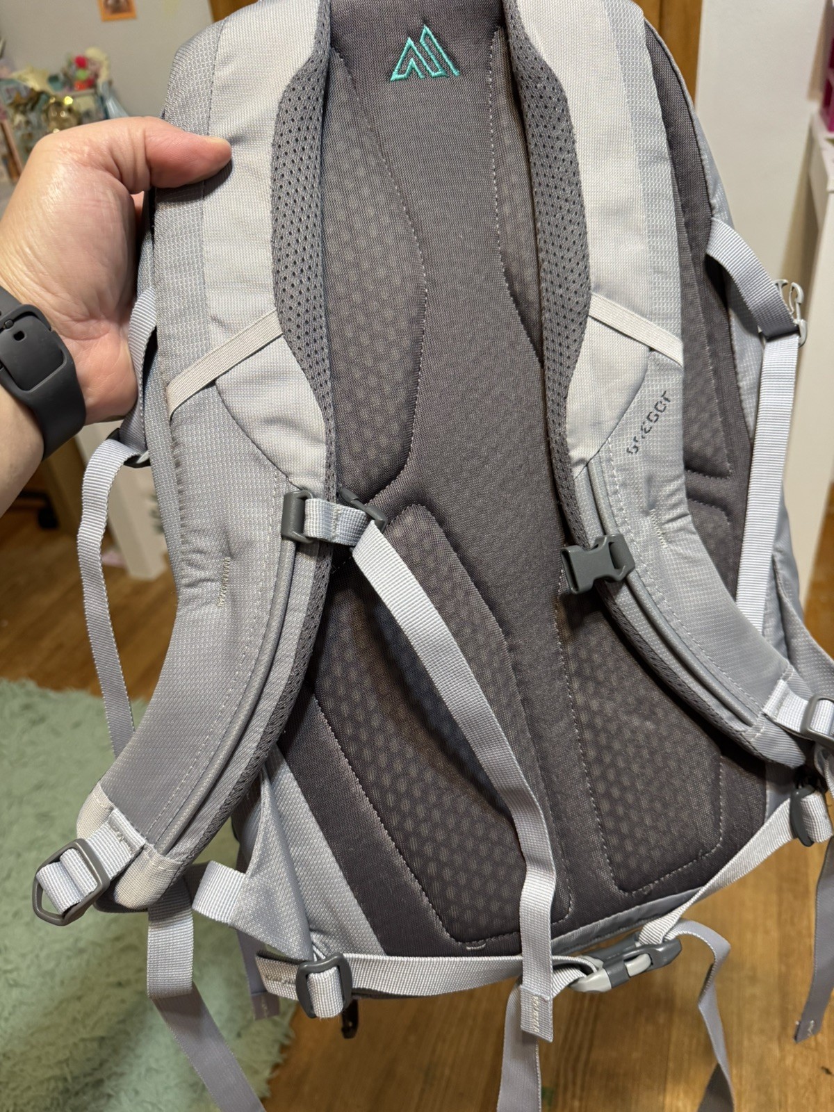 Gregory Backpack for Men & Women – perfect for hiking or school