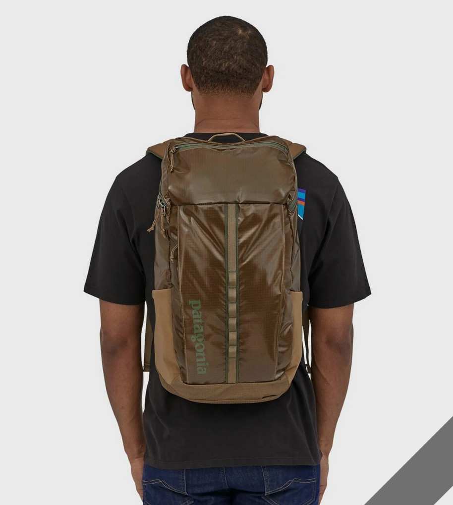 Used once! RARE Patagonia black hole Backpack pack 25L Coriander Brown bag