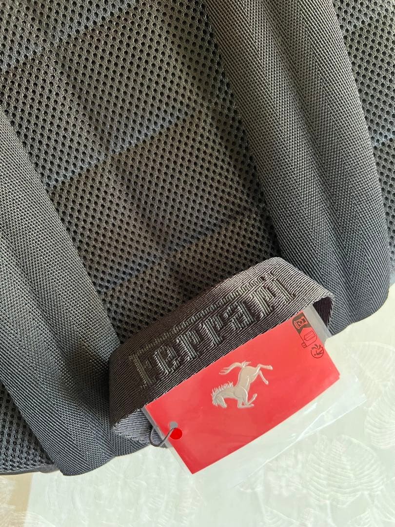 Brand new Ferrari Purosangue owner-exclusive backpack (not for sale)