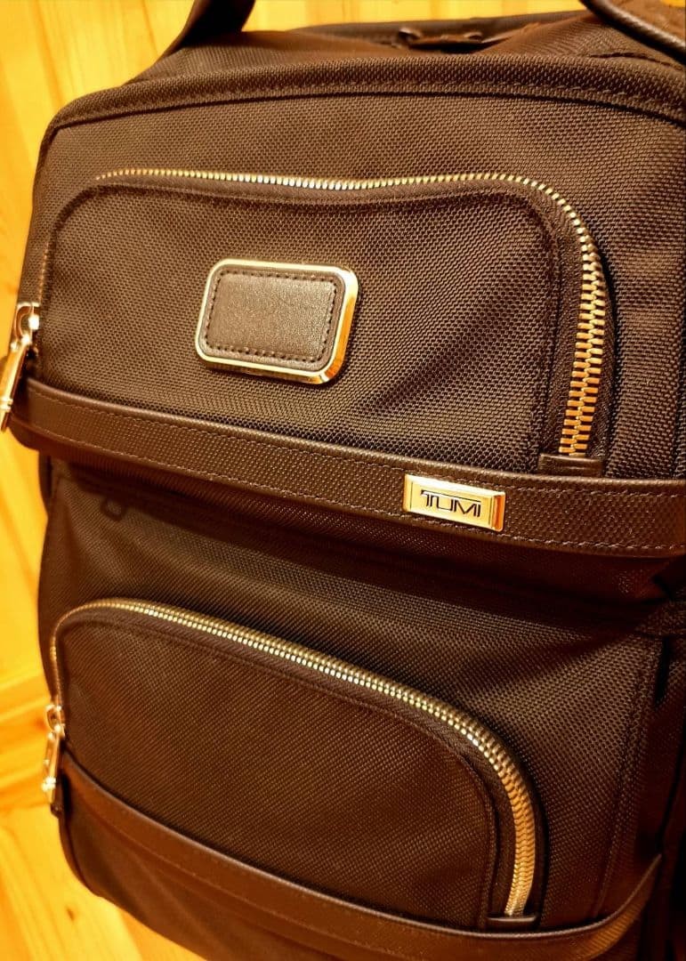 TUMI Alpha3 Backpack Chrome