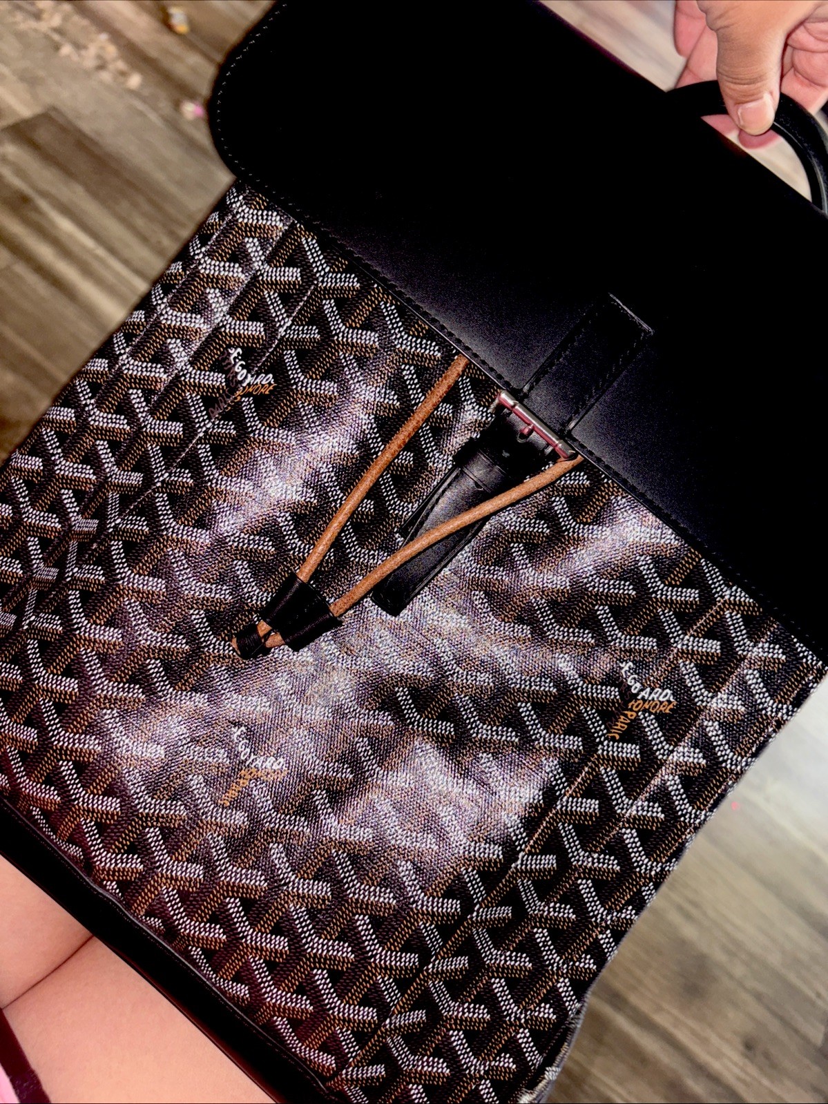 GOYARD Alpin Backpack MM Rucksack Daypack PVC Leather Black Brown White GZl17nmg