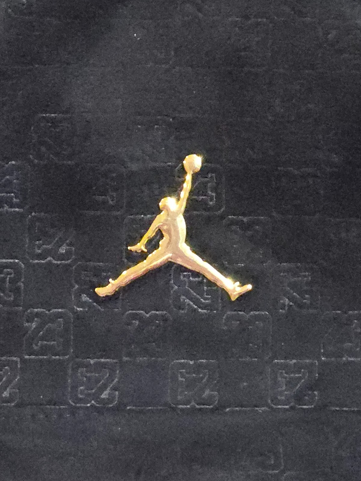 Jordan Nike Backpack Monogram *Rare Limited Edition Suede* BNWT