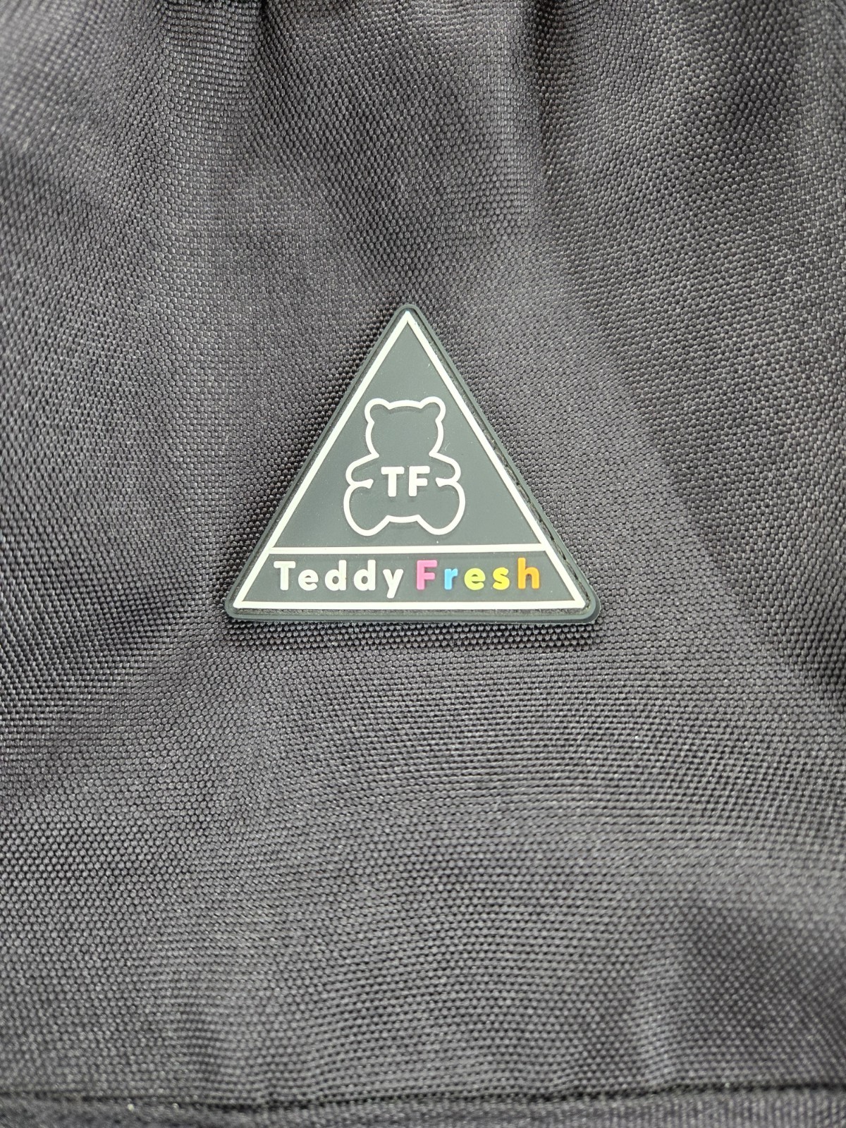 Rare Teddy Fresh Large Backpack Black Bag Bookbag Laptop Zippered 16×15 Apprx.