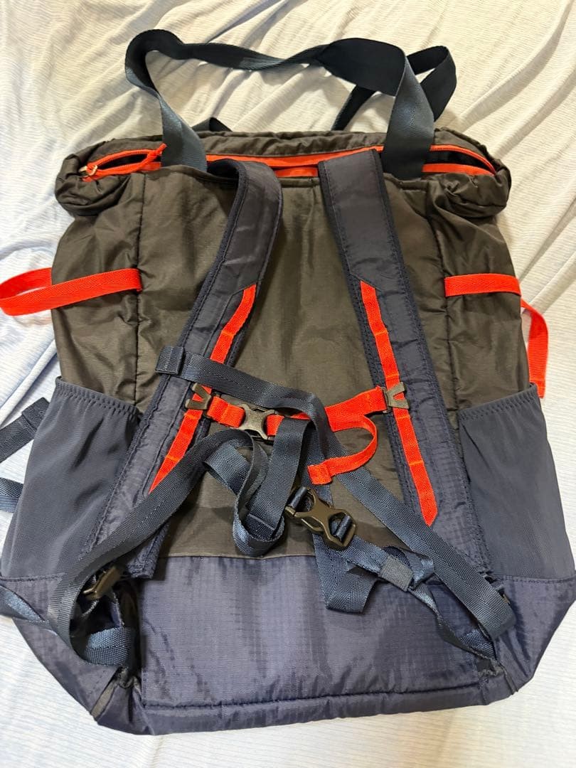 Patagonia 2WAY Lightweight Travel Tote