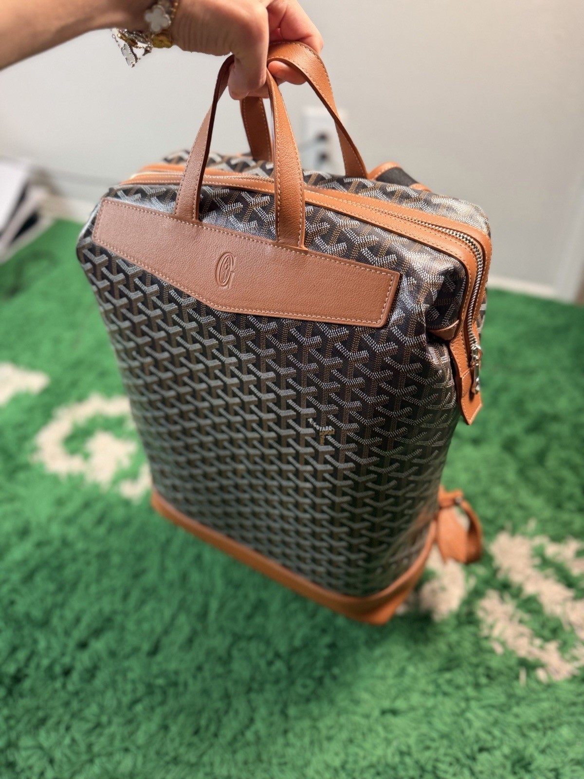 Goyard Cisalpin Backpack Black Tan – Perfect Condition