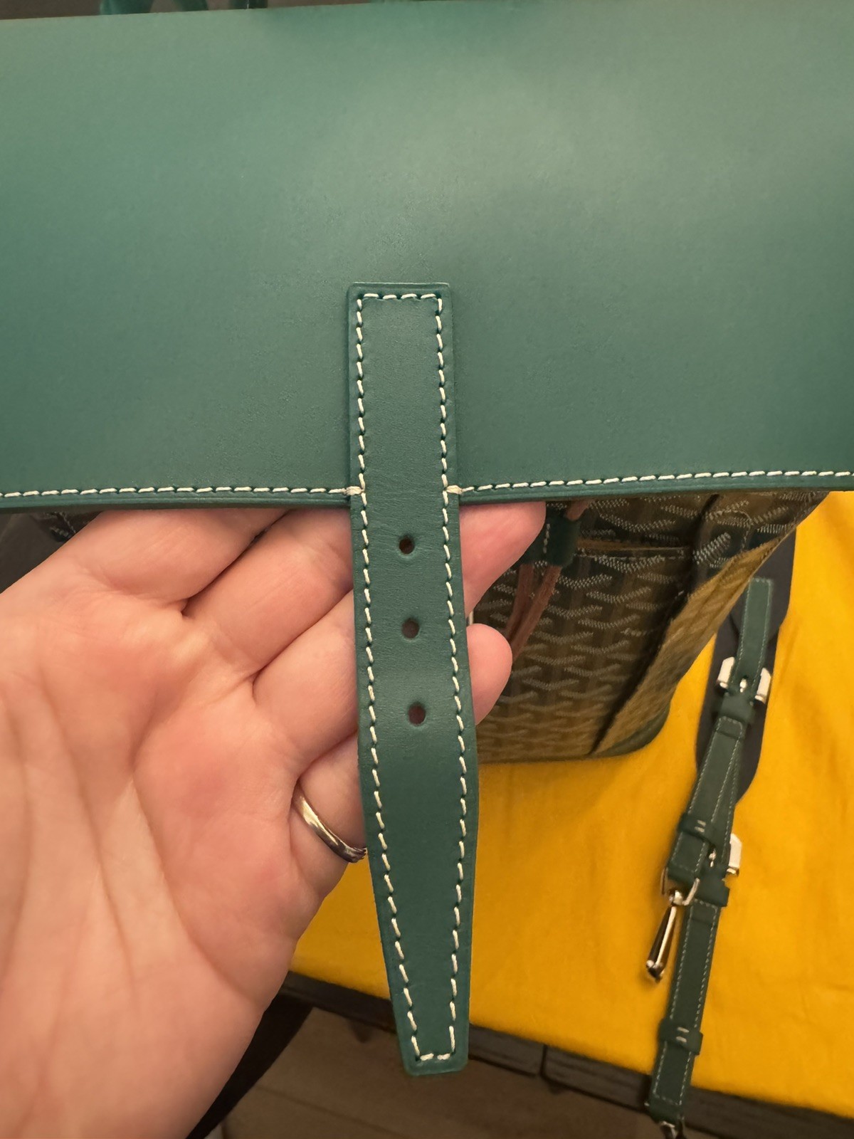 Authentic Goyard Green Alpin MM Backpack Bag W/ Dust Bag / Used 9.8/10