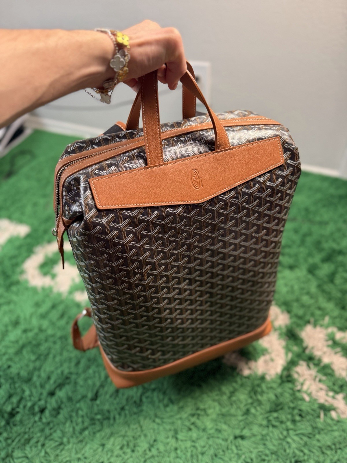 Goyard Cisalpin Backpack Black Tan – Perfect Condition