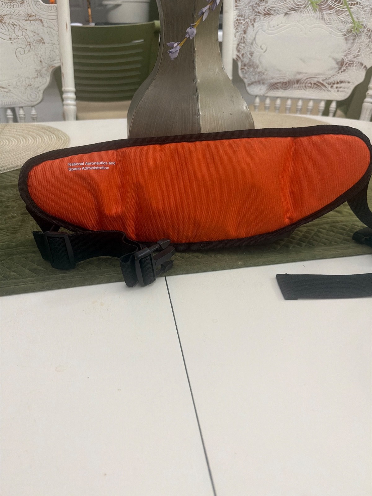 NASA Fanny Pack