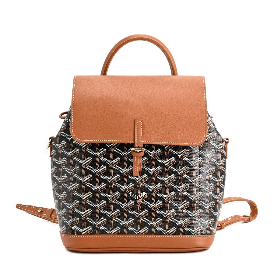 GOYARD Alpin Mini Backpack / Black / brown unisex