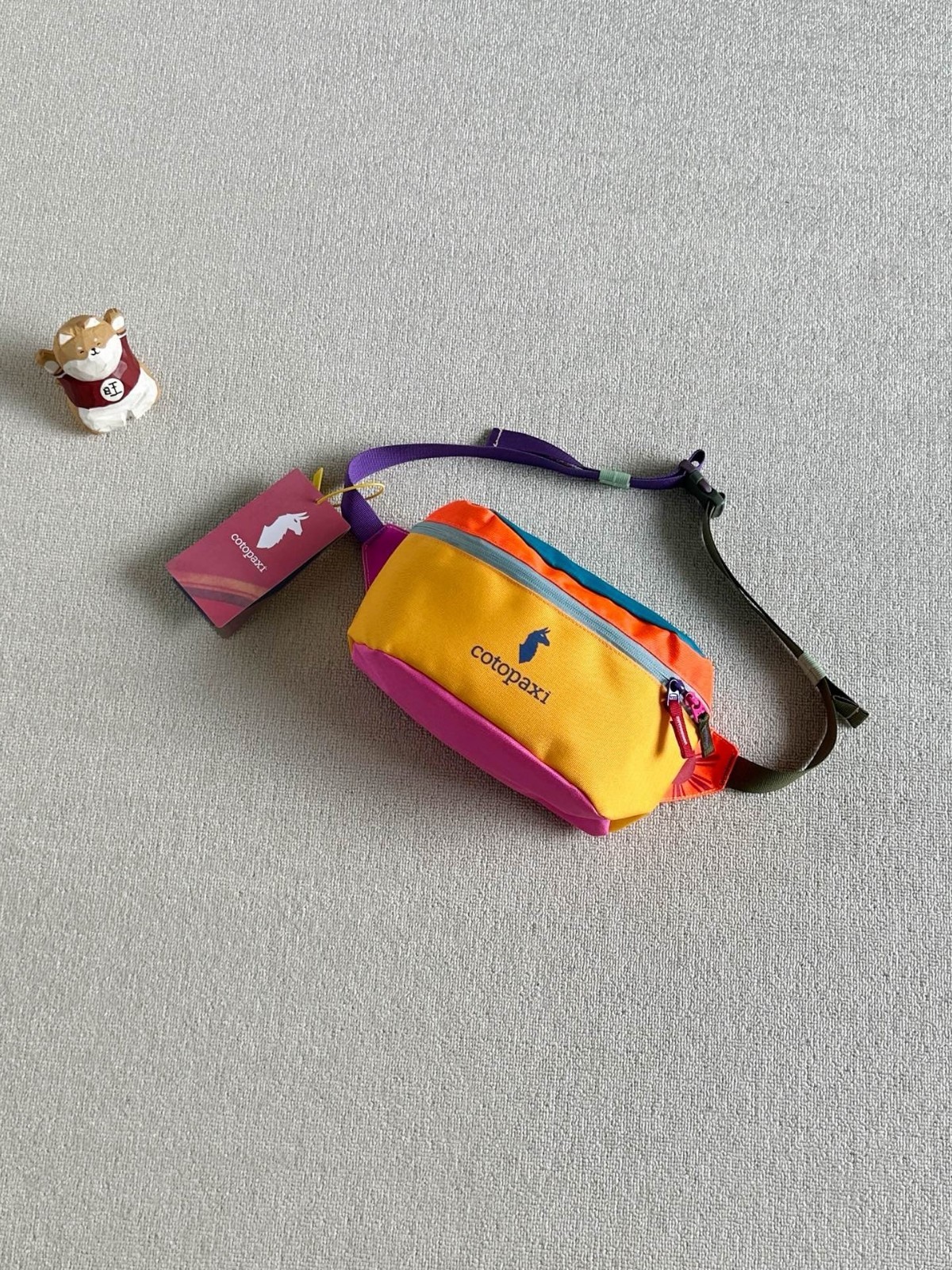 Cotopaxi Dopamine Color-Block 3L Alpaca Waist Bag