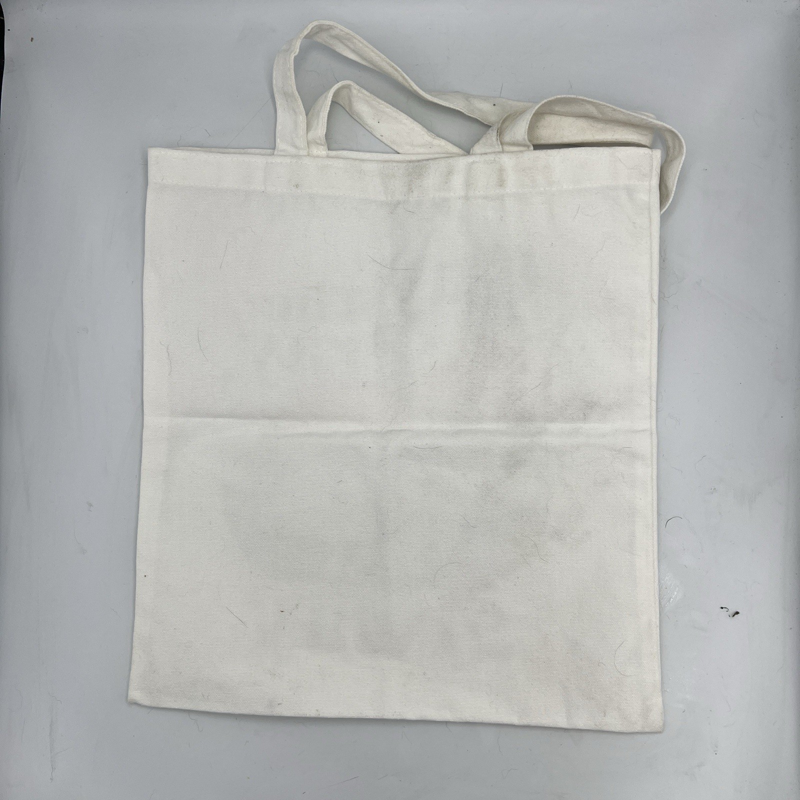 “Gay The Pray Away” Canvas Tote Bag Cloth Shopping Bag LGBTQ+ Frog Mushroom