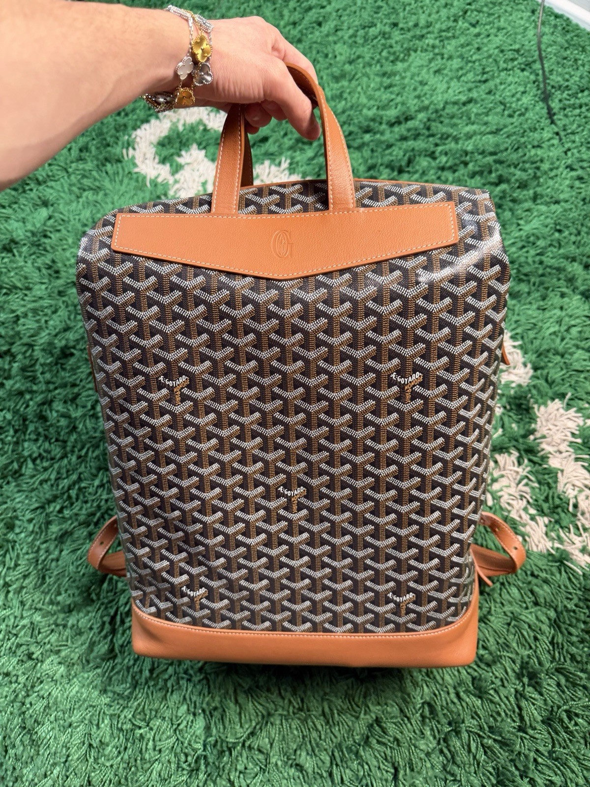 Goyard Cisalpin Backpack Black Tan – Perfect Condition