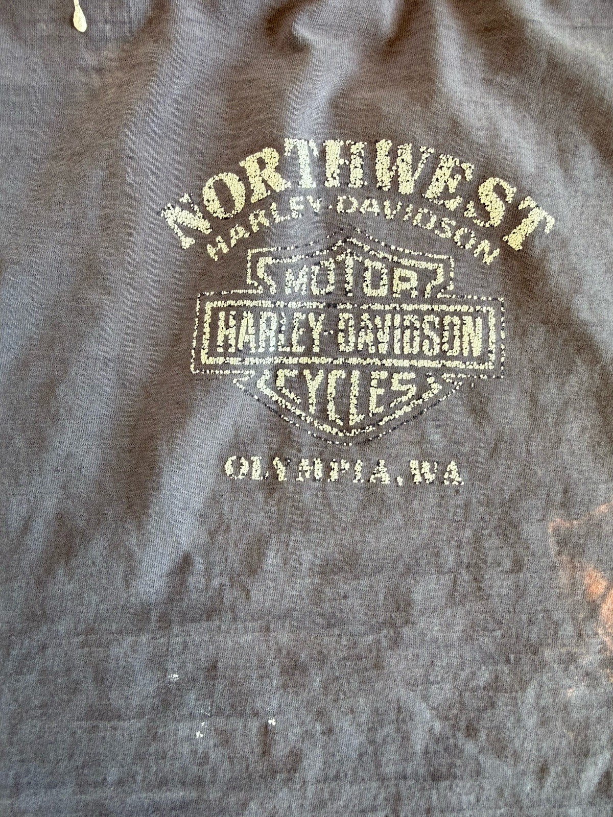 Harley Davidson Motorcycle 03 Distressed Long Sleeve T-Shirt Olympia WA Large