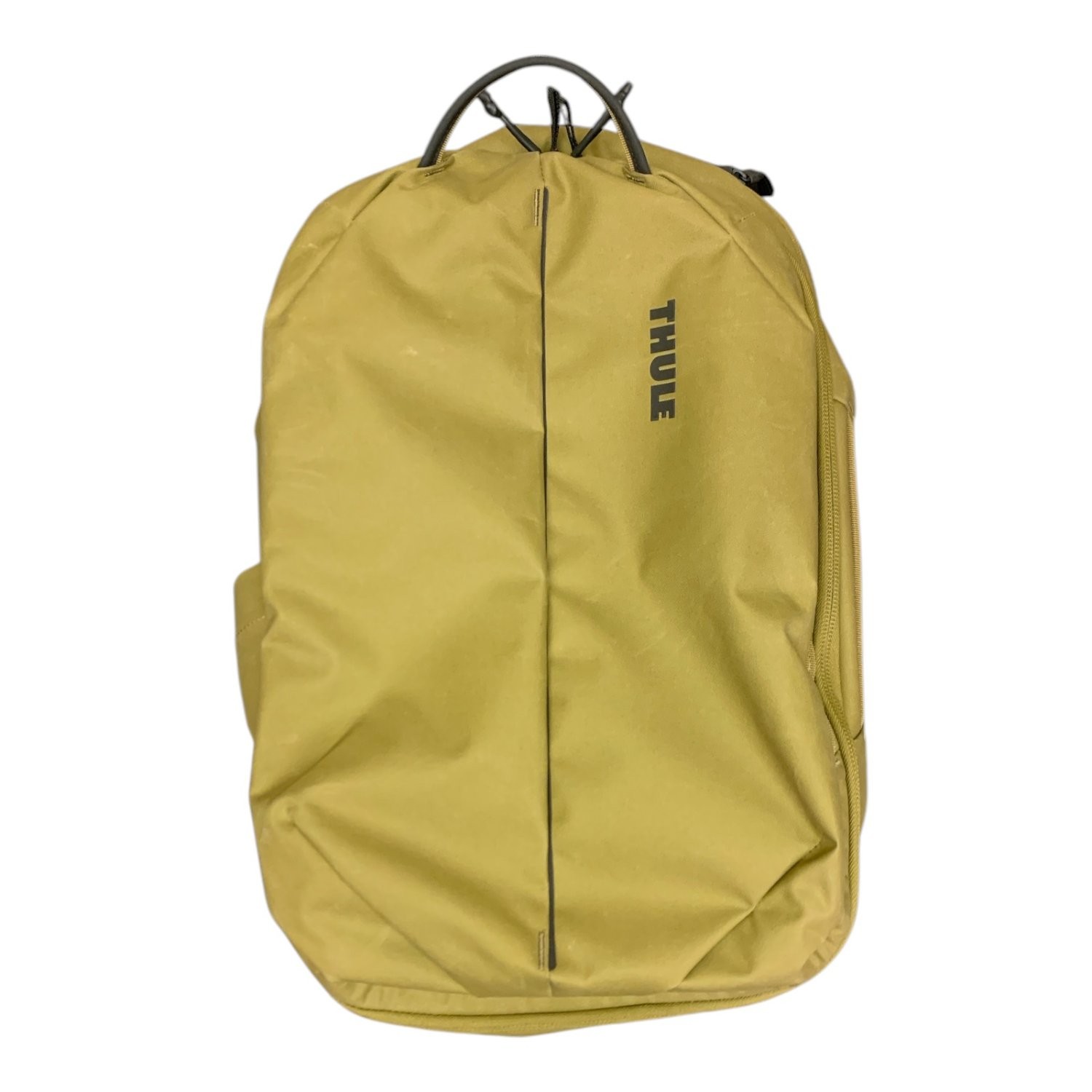 Thule Aion Travel Backpack, 40L, Carry-On Compliant (Nutria Brown)