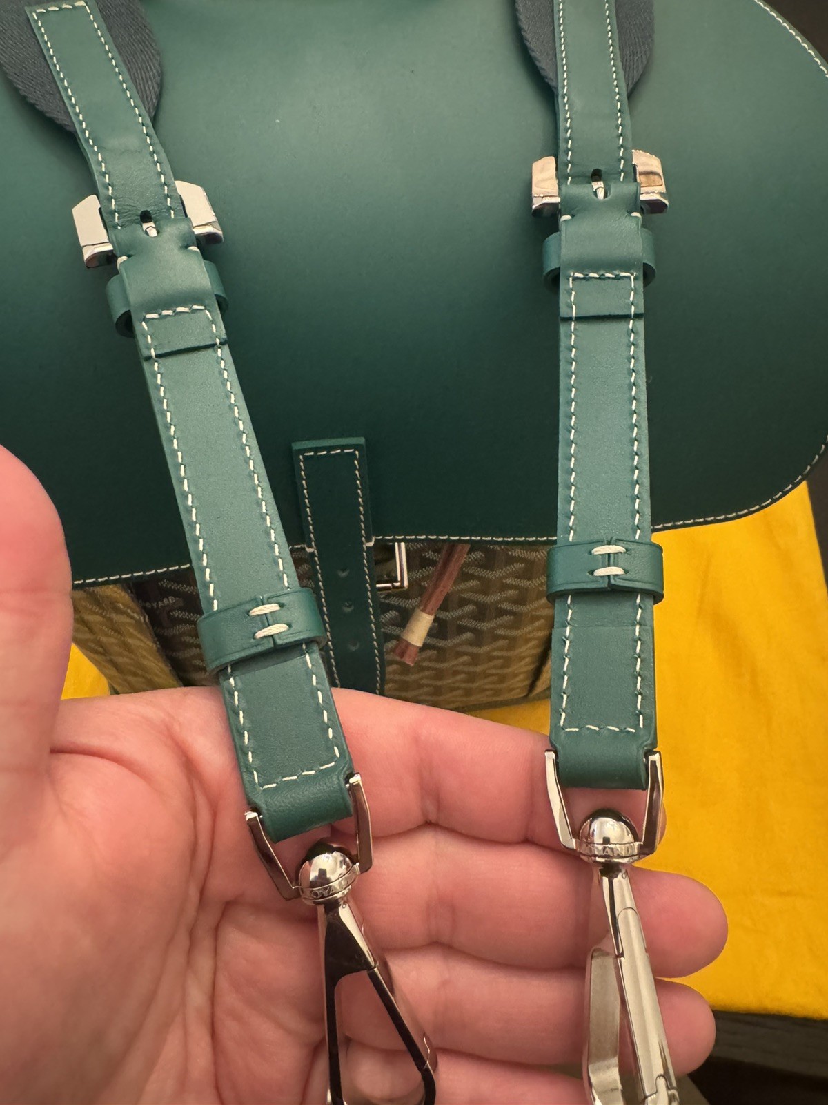 Authentic Goyard Green Alpin MM Backpack Bag W/ Dust Bag / Used 9.8/10