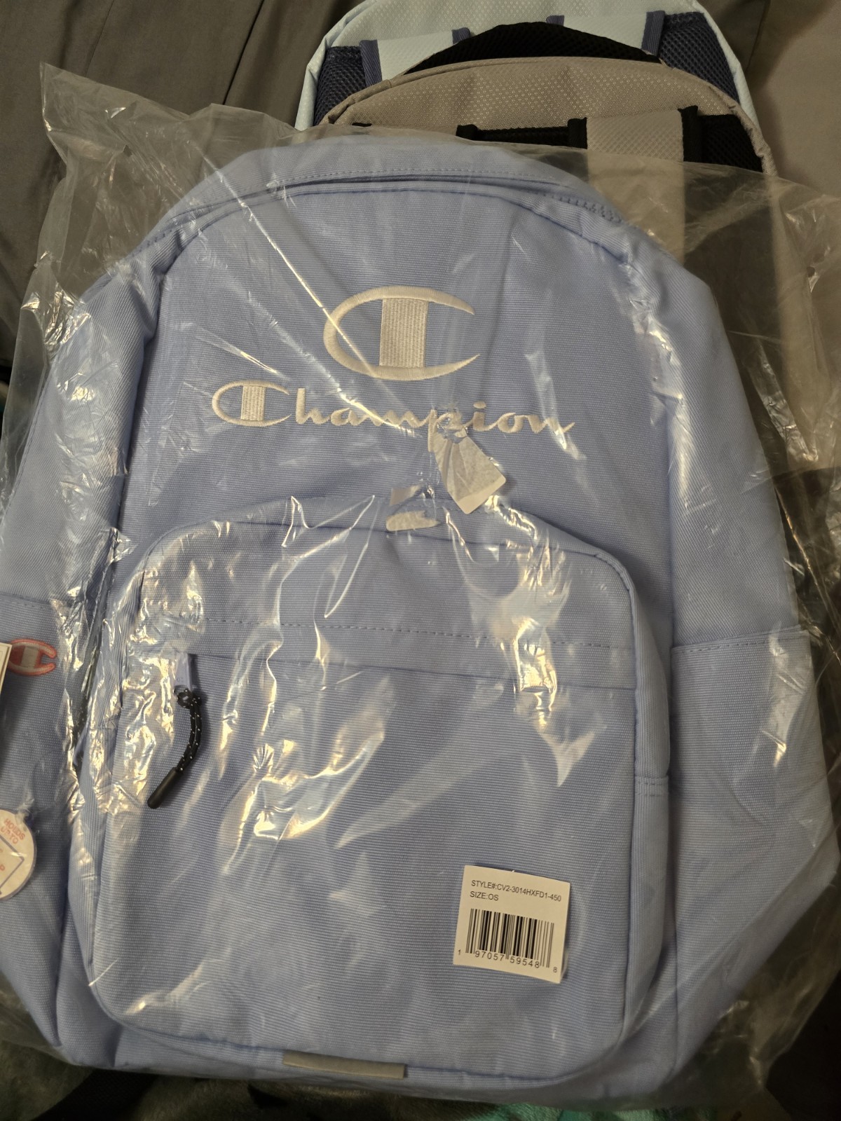 Champion Estate Backpack – Light Blue
