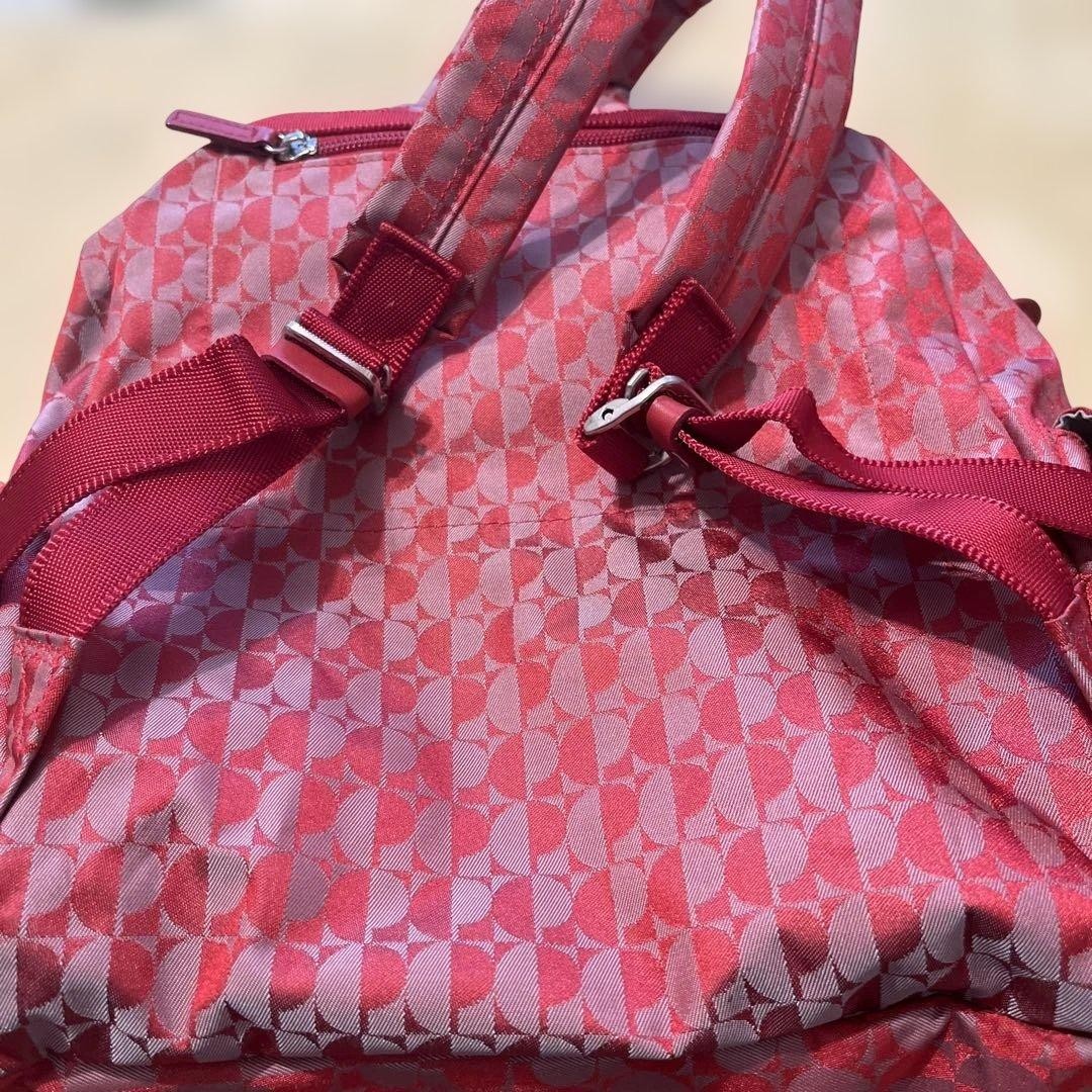 Pierre Cardin Disposer Bag