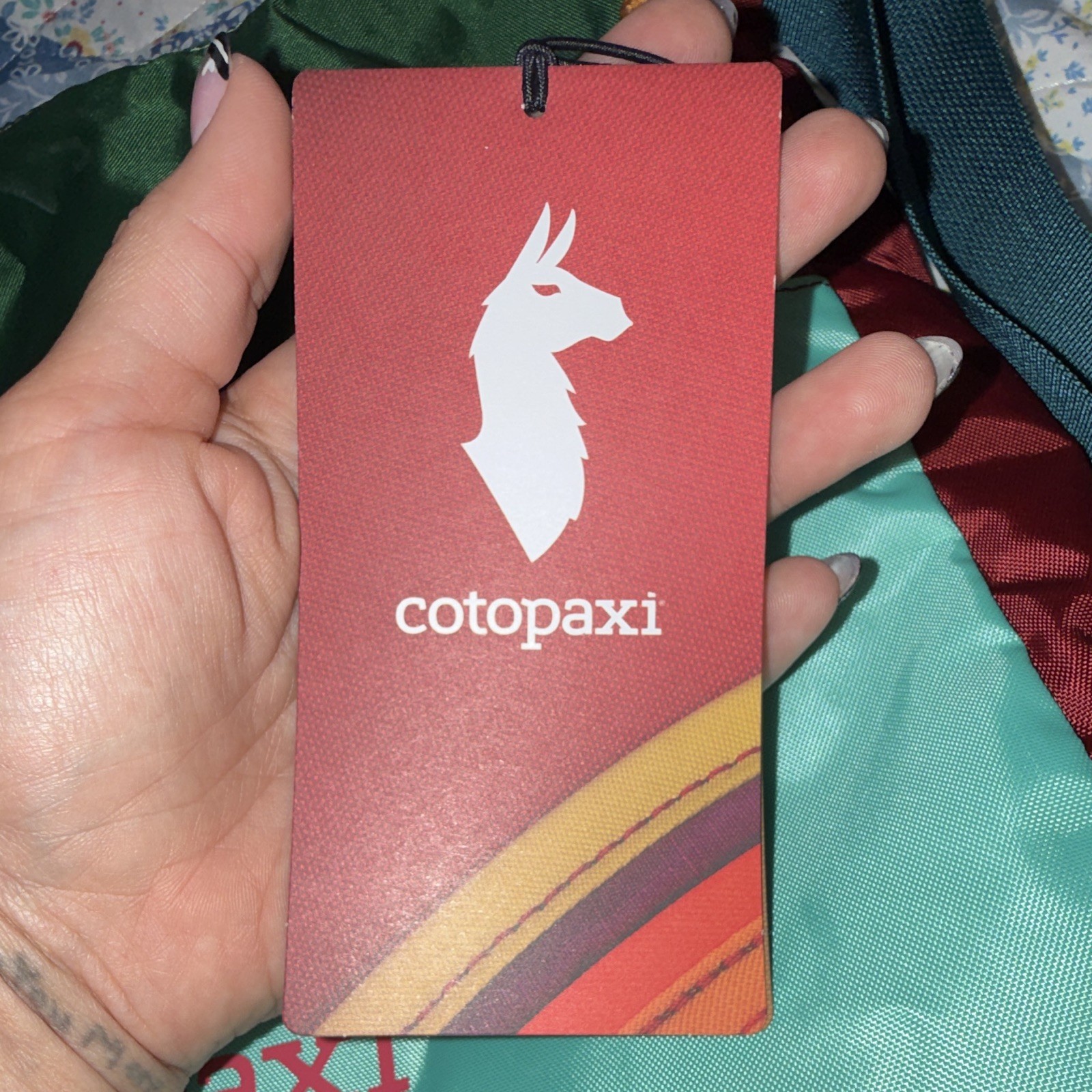 Cotopaxi Del Dia Colorblock Convertible Tote, Zipper, Adjustable Strap, Unisex