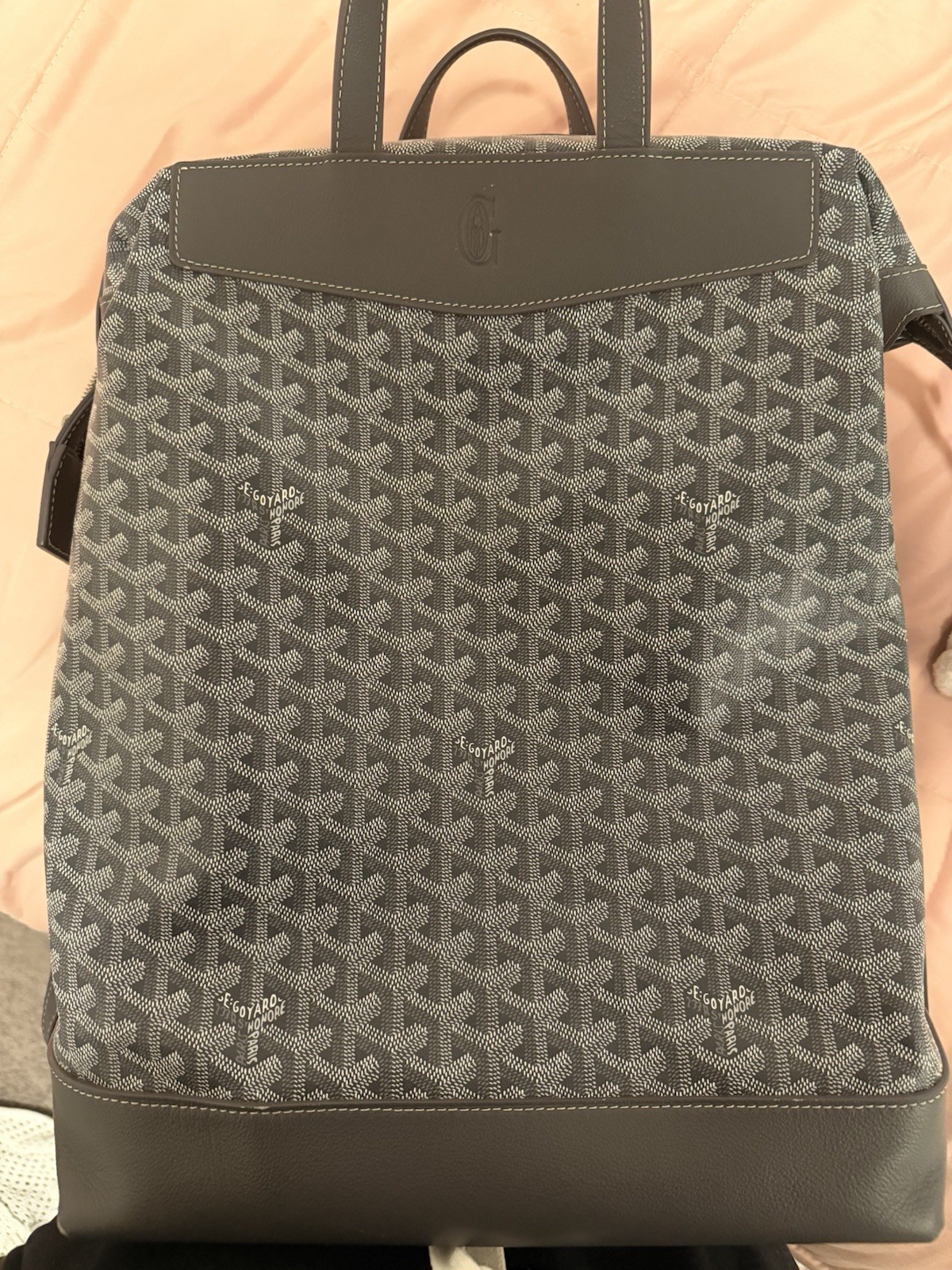 Goyard Cisalpin Gray Backpack Top Handle Zipper Adjustable Strap Logo