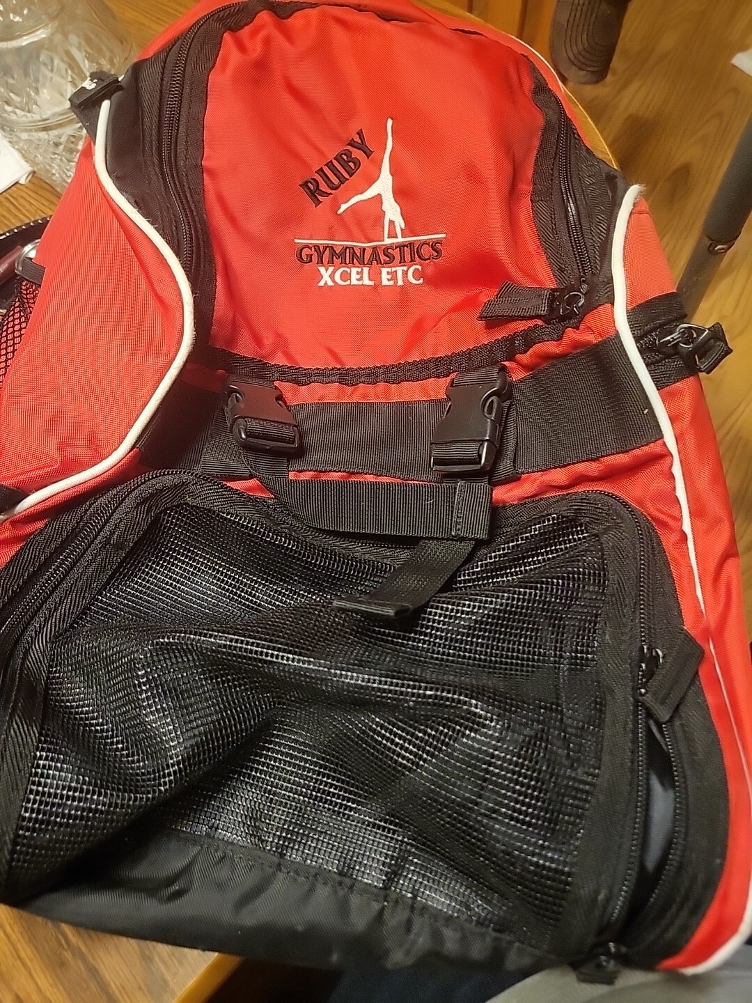 NWOT Champion Core Sports Backpack Red – One Size Fits Most