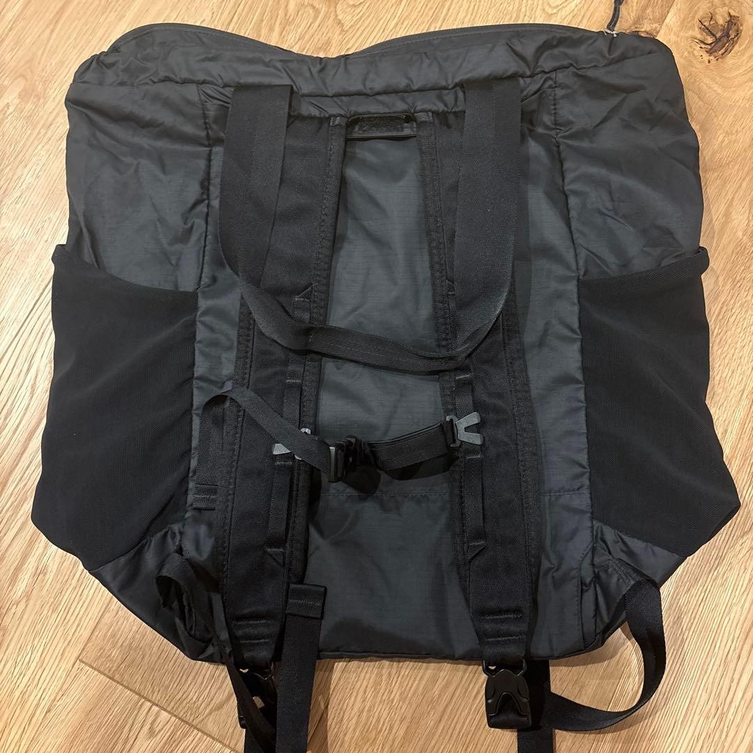 Excellent Condition Patagonia Lightweight Travel Tote Pack Lightweight Backpack