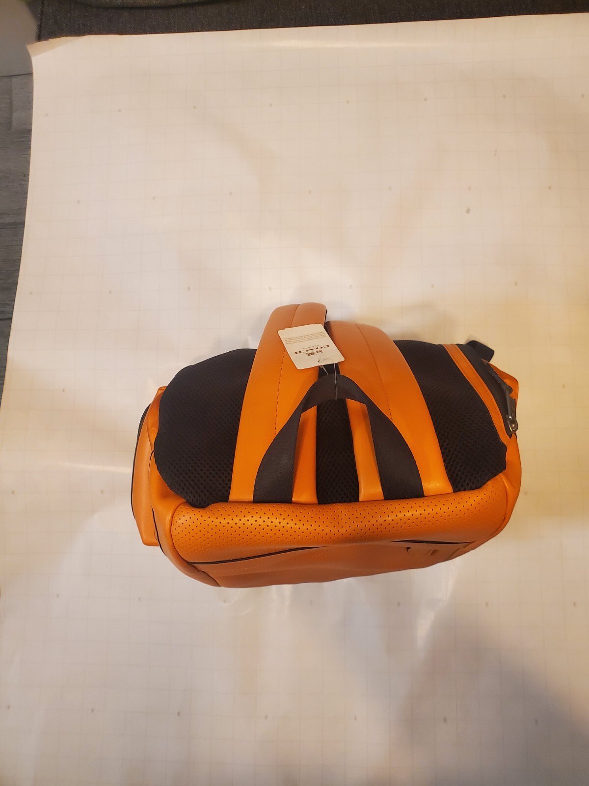 Coach PREMIUM leather backpack