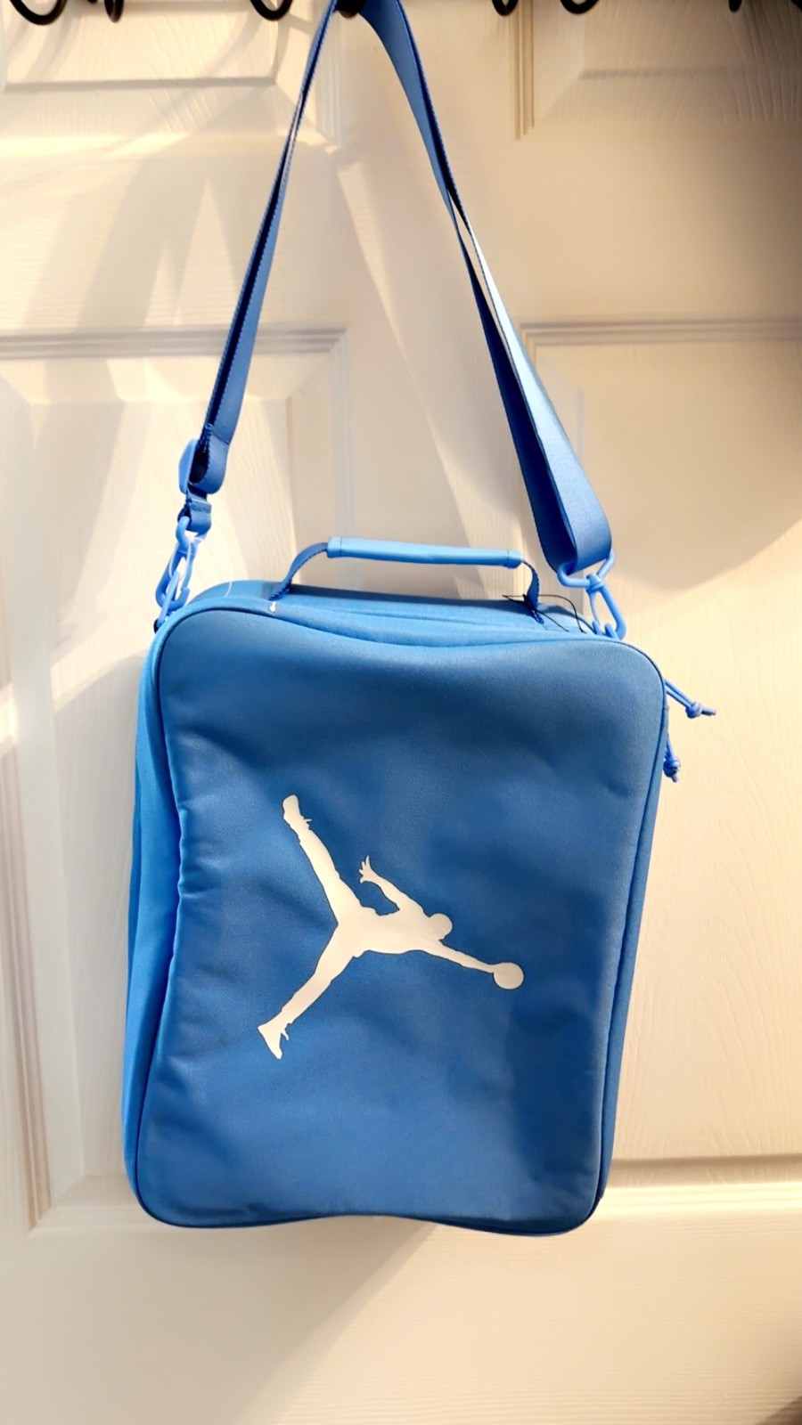 Nike Air JordanTravel Shoe Box Bag